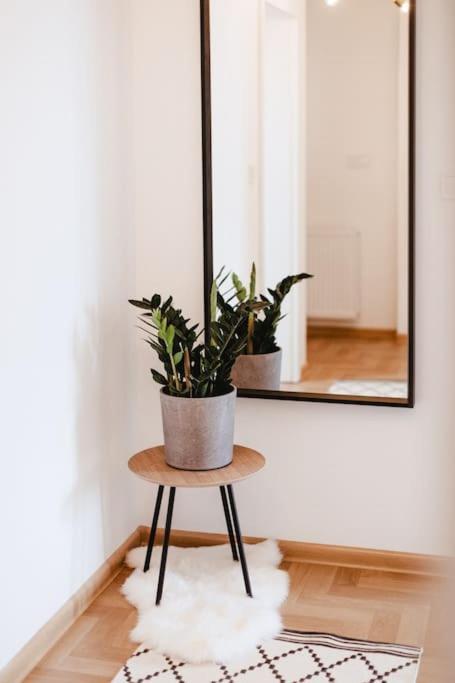 Loft With Balcony In Centre Apartment Prag